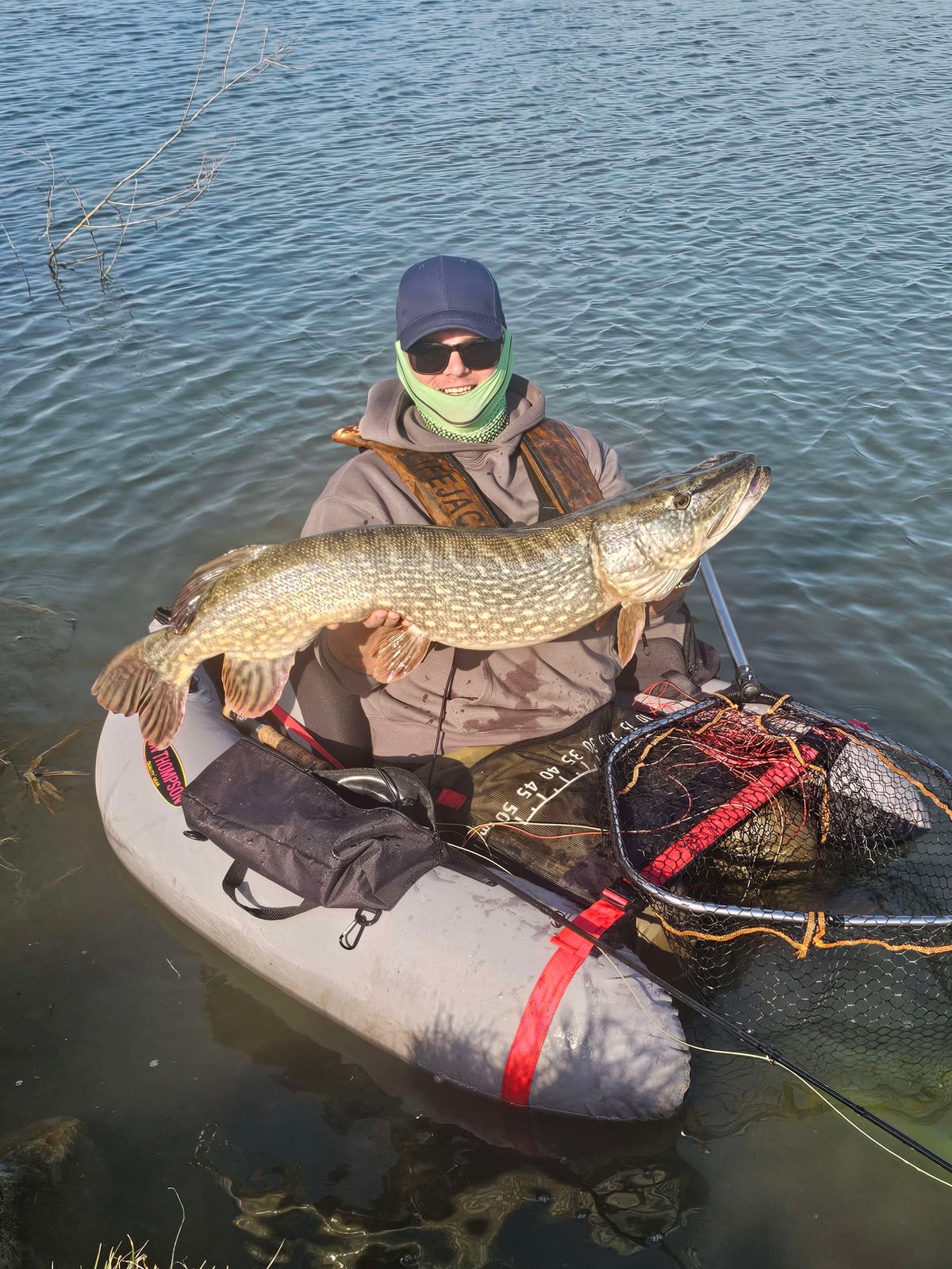 19lb 6oz pike from River Welland