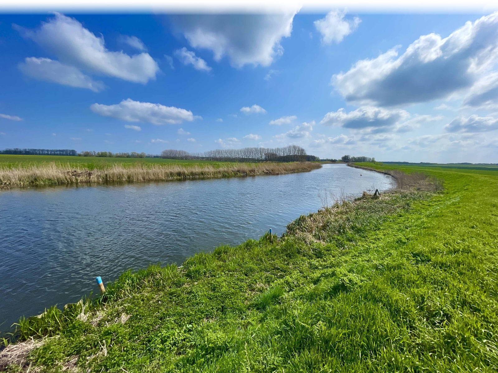 River in the fens