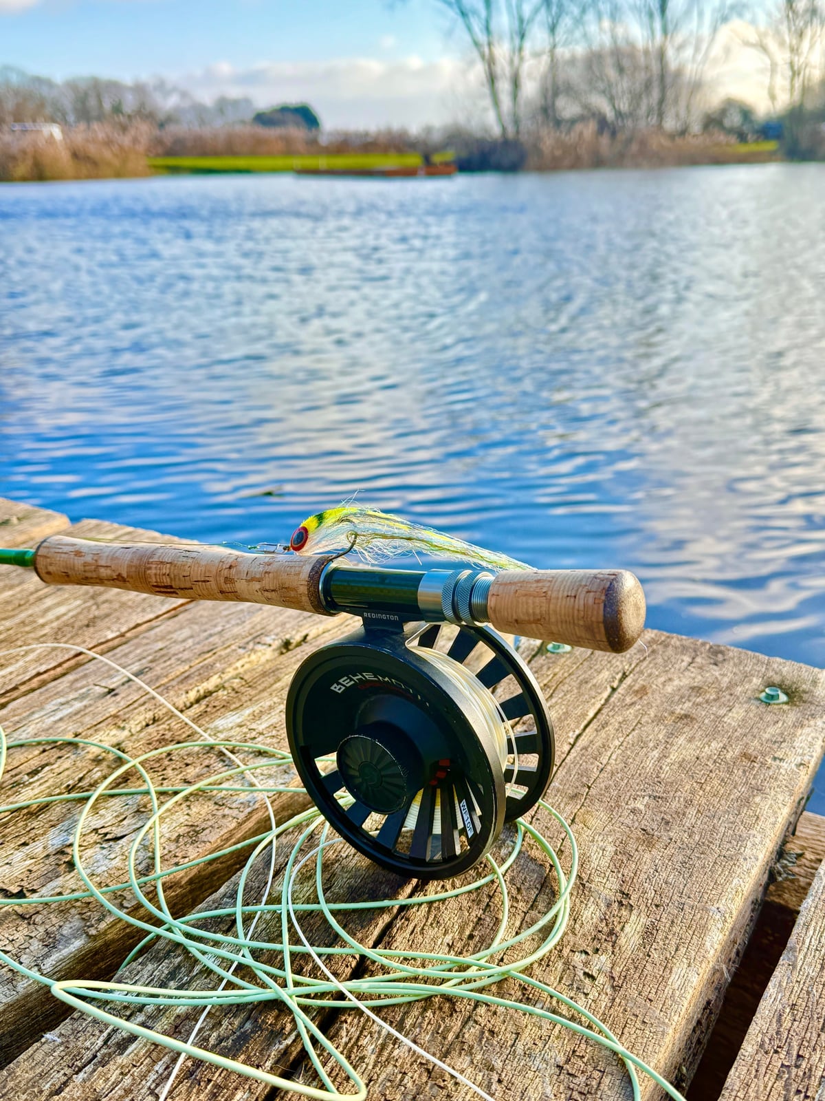 Pike fly rod & fly