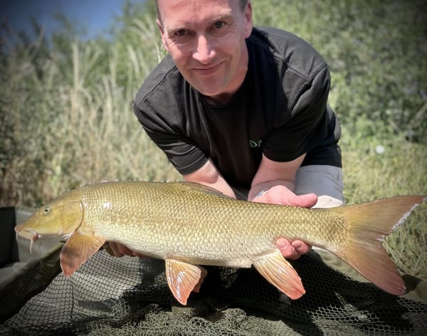 Barbel, River Nene Backwater, Nassington.